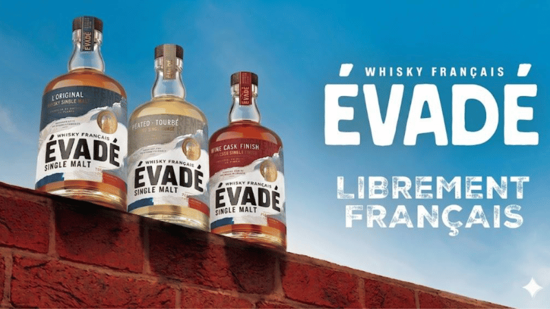 Evadé web actu sep 26